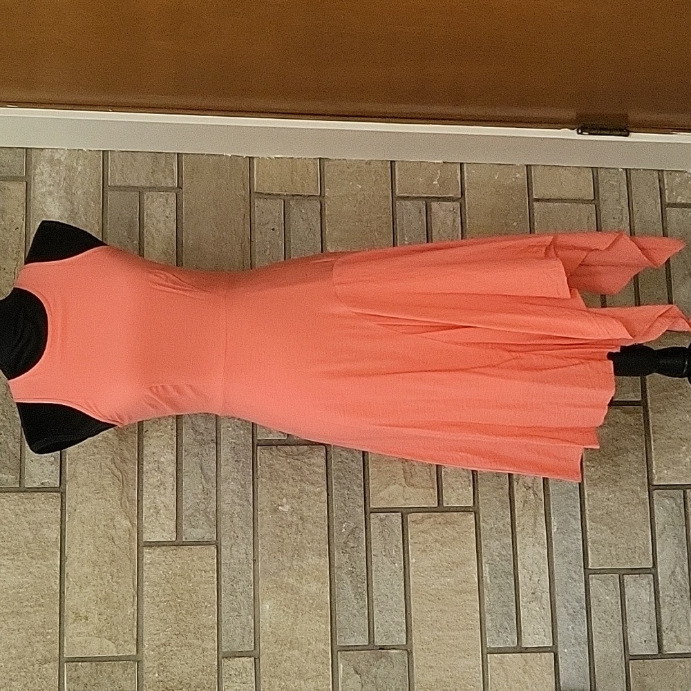 Ann Taylor 0 Petite Coral Dress